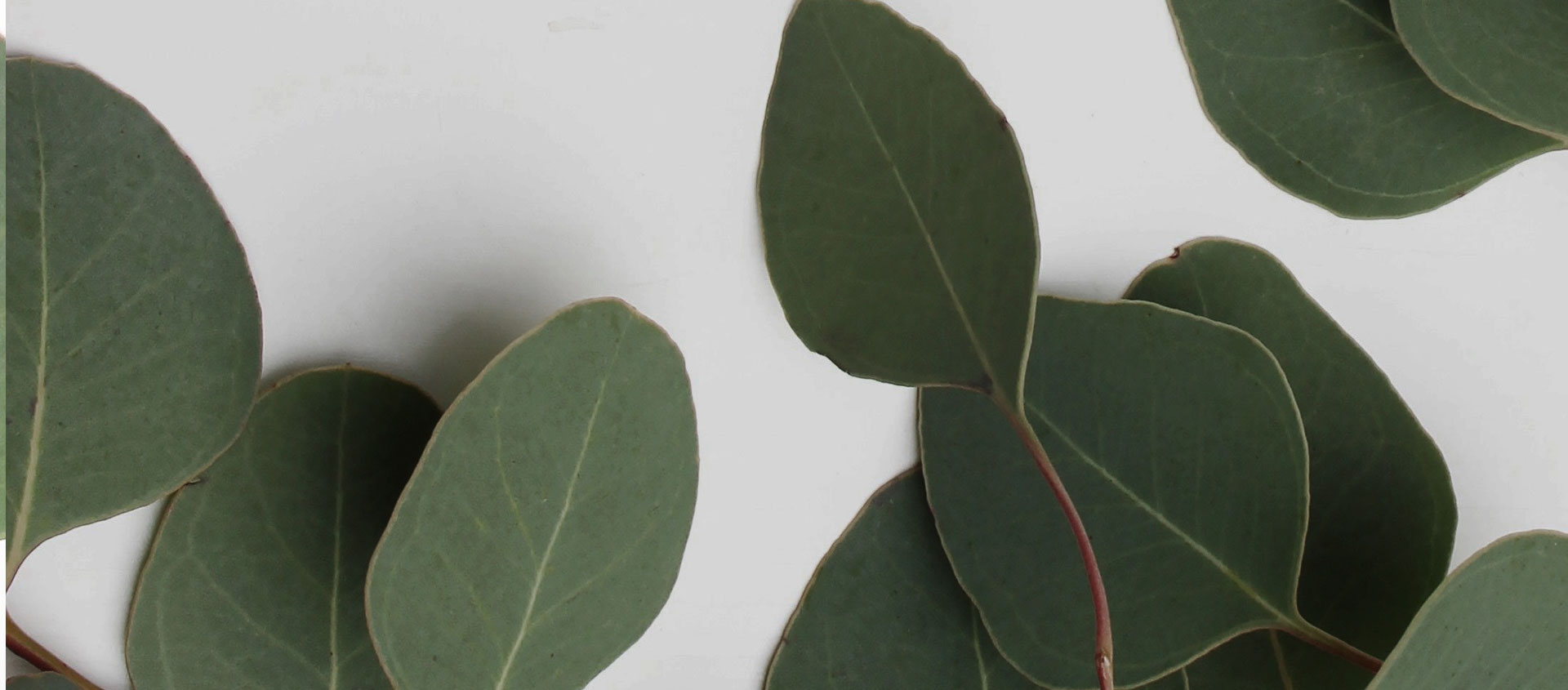 Взыскание ущерба от экологических правонарушений в Арти