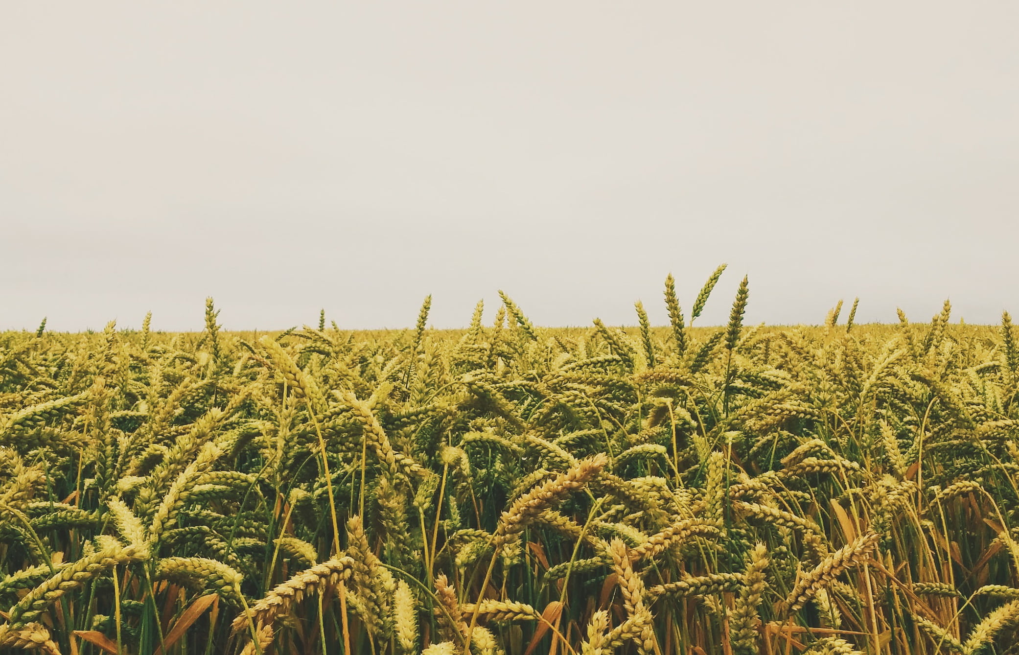 Юрист по земельным спорам в Арти. Услуги земельного юриста.